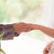 結婚前調査でどこまでわかる?